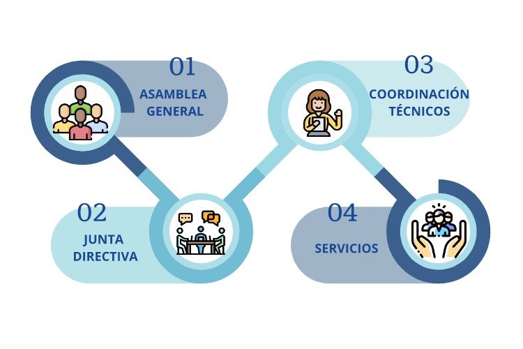 Organigrama : Asamblea general, junta directiva, coordinación de técnicos, servicios